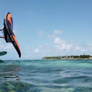 Cocodile , Sainte-Anne (Grande-Terre) Guadalupa